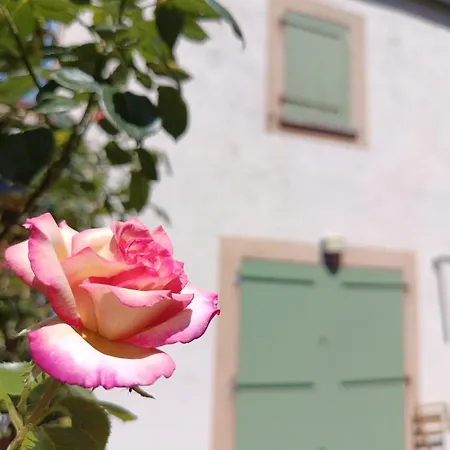 Holiday home Maison Calme Piscine Pinede Pmr Parking *